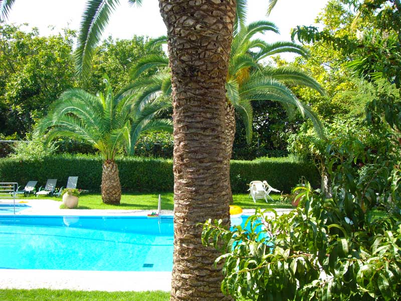 Swimming pool and children's pool