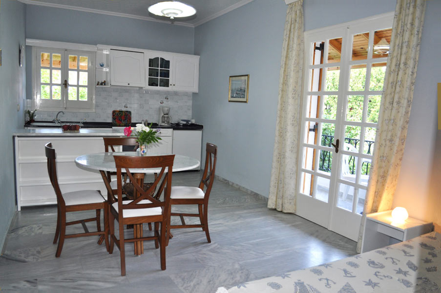 Living room combined with kitchen