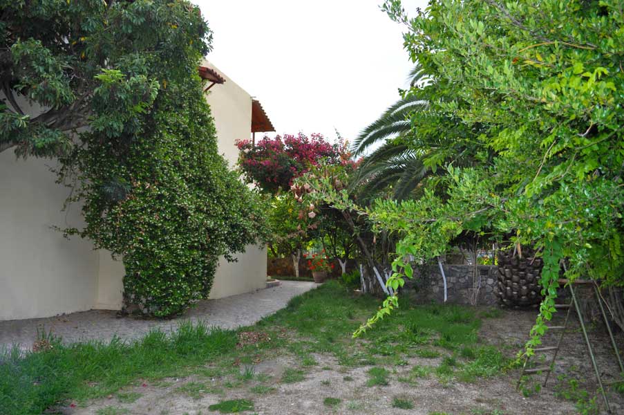 House surrounded by a large garden